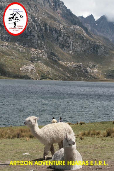 Olleros - Chavn Llama Trek - Trekking Cordillera Blanca